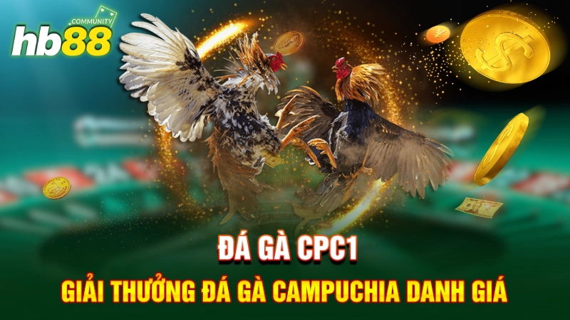 Đá gà CPC1 - Giải thưởng đá gà Campuchia danh giá