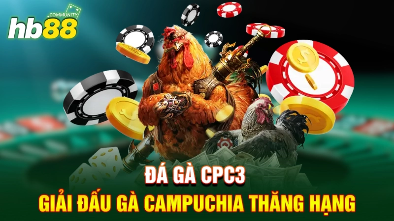 Đá gà CPC3 - Giải đấu gà Campuchia thăng hạng