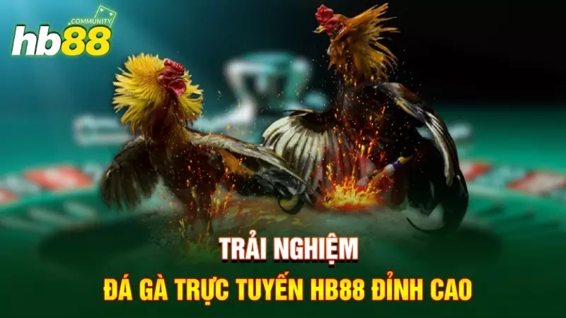 Đá gà trực tuyến HB88