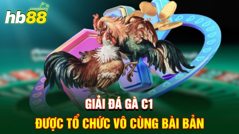 Giải đá gà C1 được tổ chức vô cùng bài bản