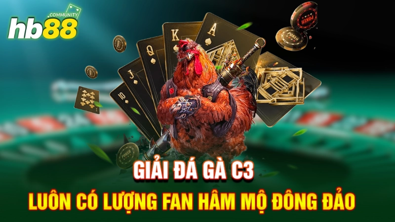 Giải đá gà C3 luôn có lượng fan hâm mộ đông đảo