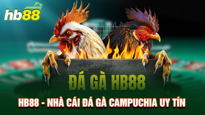 HB88 - Nhà cái đá gà Campuchia uy tín