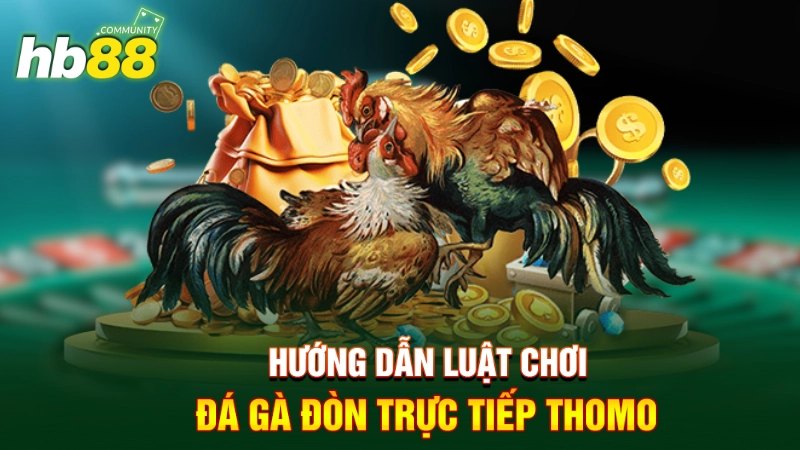 Hướng dẫn luật chơi đá gà đòn trực tiếp Thomo 