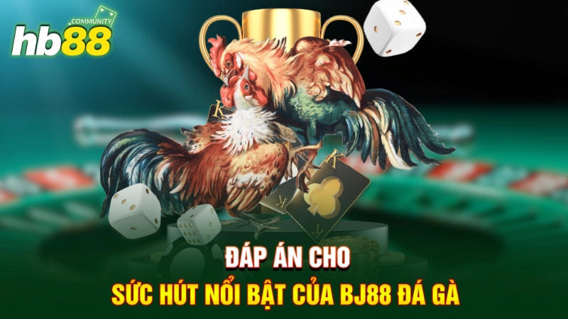 Đáp án cho sức hút nổi bật của BJ88 đá gà