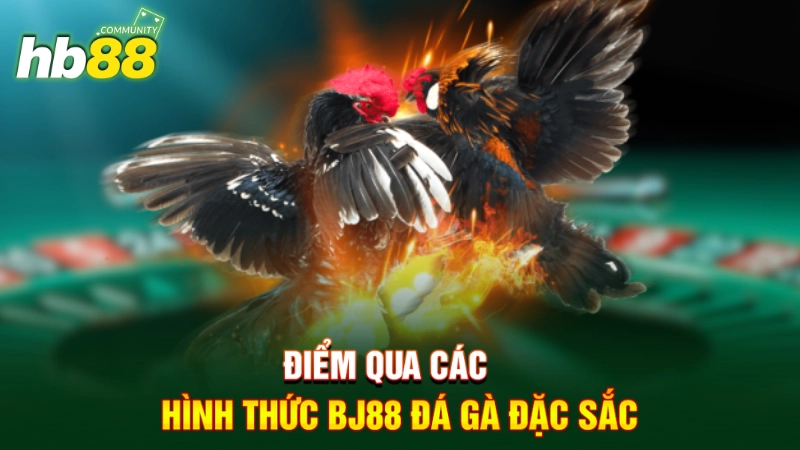 Điểm qua các hình thức BJ88 đá gà đặc sắc